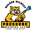 Walker Wildcat Pressure Washing